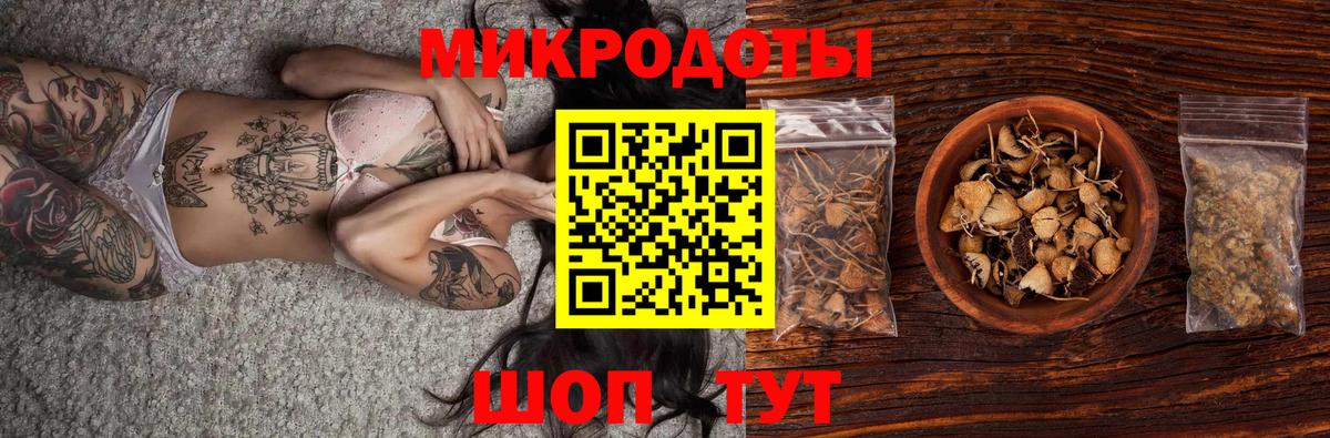 Батайск  Псилоцибиновые грибы Psilocybine cubensis  Вход с VPN  Галлюциногенные грибы Psilocybine cubensis 