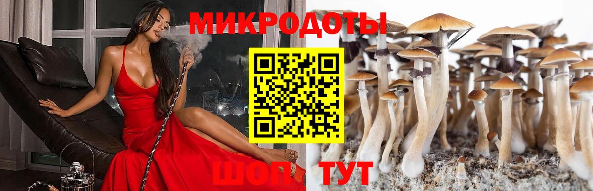 Галлюциногенные грибы Psilocybine cubensis Батайск